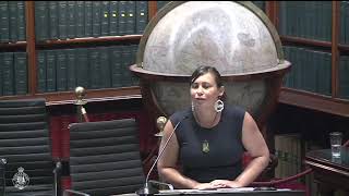 12th Annual Reconciliation in Parliament Event  A case of resilience for the First Peoples of NSW [upl. by Imaj]