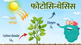 फोटोसिन्थेसिस  प्रकाश संश्लेषण  Photosynthesis In Hindi  DrBinocs Show  Binocs Ki Duniya [upl. by Annaehr]