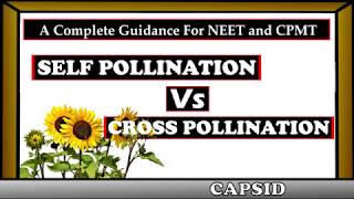 Self Pollination Vs Cross Pollination  Reproduction in plants [upl. by Mayhs]