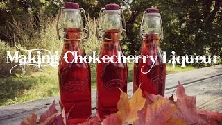 Chokecherry Liqueur [upl. by Dachy457]