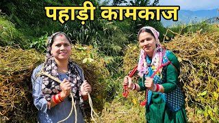 काम के साथ साथ दीदी और मेरी हँसी मजाक  Preeti Rana  Pahadi lifestyle vlog  Triyuginarayan [upl. by Alfred]