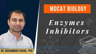 Enzymes Inhibitor and their Types  Uncompetitive Inhibitors [upl. by Nocam]