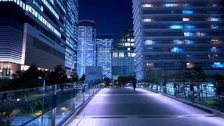 A Night in Tokyo Toyosu Bay Area  Japan 4K HDR [upl. by Remark743]