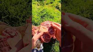 cooking outdoorcooking bbq steak food asmr chef outdoorchef outdoorliving foodie [upl. by Suryt398]