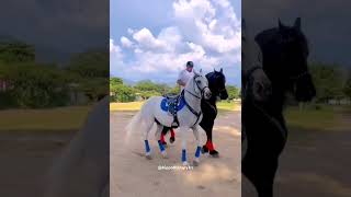 Hippotherapy Иппотерапия hippotherapy horseriding horsevideo horseride sporthorses [upl. by Lippold]