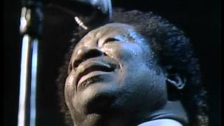 BB King  08 The Thrill Is Gone Live At Nicks 1983 HD [upl. by Adekram]