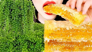 ASMR RAW HONEYCOMB SEA GRAPES 바다포도 벌집꿀 먹방 MUKBANG EATING SOUNDS 咀嚼音 蜂の巣 ハニカム  ZOEY ASMR 조이 [upl. by Anyalram]