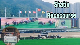 May the horse be with us🐴🤸‍♀️😹  Sha Tin Racecourse [upl. by Ylra]