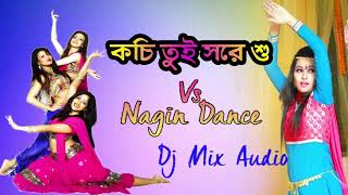 Kochi tui sore so tor masi aseche  purulia hit dj mix song [upl. by Animaj]