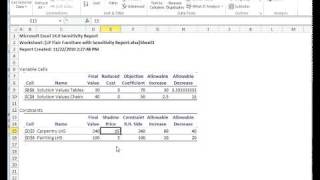 Interpreting Solver Sensitivity Report [upl. by Parnas]