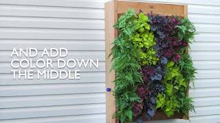 How to Create a Vertical Wall Garden [upl. by Anuahc]