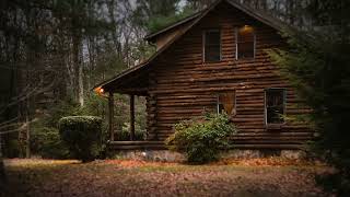 Rainy Day Serenity in the Treehouse  3 Hours [upl. by Naylor455]