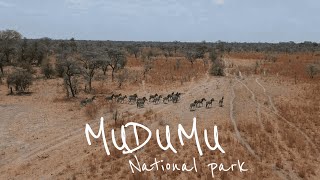 MUDUMU NATIONAL PARK  CAPRIVI  NAMIBIA 2020 [upl. by Mmada]