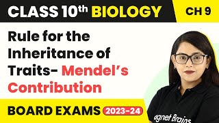 Class 10 Biology Chapter 9  Rule for the Inheritance of Traits Mendel’s Contribution [upl. by Desmund]