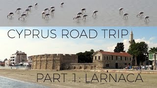 Larnaca Cyprus 2017 🇨🇾 Beach Sights and Flamingos VLOG 16 [upl. by Otrebire]