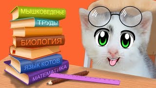 ШКОЛА КОТОВ НОВЫЕ УРОКИ КОТ МАЛЫШ и Кошечка МУРКА 24 ЧАСА В ШКОЛЕ БАФФИ УЧИТ КОТЯТ Back To School [upl. by Alpert664]