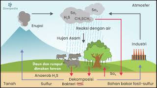 Siklus Biogeokimia kelas 10 [upl. by Stander]