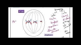 cours brassage de information genetique3 ème sciences [upl. by Brynna472]