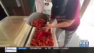 State updates on Louisiana Crawfish Season [upl. by Light]