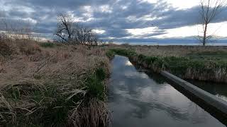 Billings Montana spring creek flow [upl. by Greggs437]