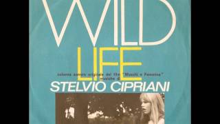 Stelvio Cipriani  Wild Life  theme from Maschi e Femmine 1972 [upl. by Selbbep438]