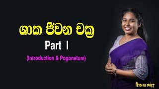 ශාක ජීවන චක්‍ර  Shaka jeewanachakra  Plant life cycles  Episode 01  Introduction amp Pogonatum [upl. by Hsizan]