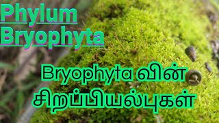 Kingdom Plantaeதாவர இராச்சியம் Phylum Bryophyta இன் சிறப்பியல்புகள்  Phylum Bryophyta  Unit  3 [upl. by Olsewski]