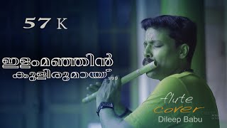 Ilam Manjil Kulirumayoru kuyil \Ninnishttam Ennishttam\Flute covar BY Dileep babu [upl. by Melas661]