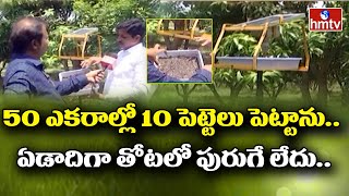 50 ఎకరాల్లో 10 పెట్టెలు పెట్టాను ఏడాదిగా తోటలో పురుగే లేదు  hmtv Agri [upl. by Ynnatirb]