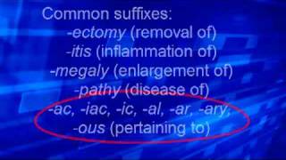 Med Term 2 Roots prefixes suffixes [upl. by Chancellor]