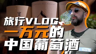 旅行Vlog  去品一万元的中国葡萄酒 [upl. by Ellenehs162]