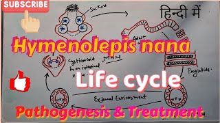 Hymenolepis nana Life cycle Clinical symptoms amp Treatment  in hindi [upl. by Yntruoc]