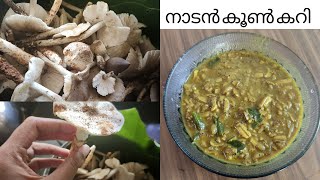 നാടൻ രീതിയിൽ കൂൺ കറി  Kerala Style Mushroom Curry Recipe  Nadan koon curry Easy Mushroom Masala [upl. by Aibos637]