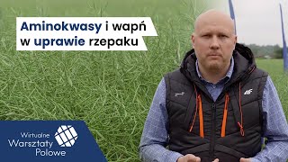 Aminokwasy i wapń w uprawie rzepaku  Michalów  Wirtualne Warsztaty Polowe 2020 [upl. by Yursa]