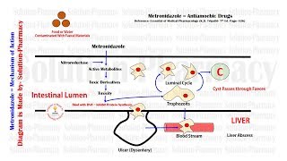 Antiamoebic Drugs  Metronidazole Mechanism of Action  Antiamoebic Drugs  Metronidazole Drug [upl. by Alvar]