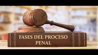 15 Correcciones Disciplinarias y Medios de Apremio [upl. by Lewak]