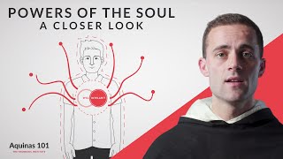 Powers of the Soul A Closer Look Aquinas 101 [upl. by Yboc]