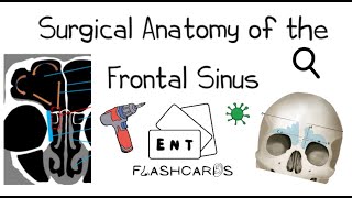 Surgical Anatomy of the Frontal Sinus  FRCS ENT Exam Essentials [upl. by Casady861]