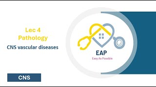 Lec 4  Pathology  CNS vascular diseases  CNS 42 [upl. by Notnerb188]