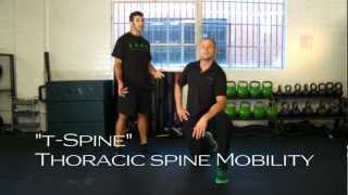 Shoulder Mobility amp Thoracic Spine Mobility Exercises [upl. by Lesh961]