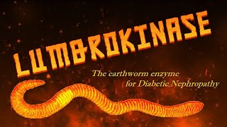 Lumbrokinase The earthworm enzyme for Diabetic Nephropathy [upl. by Nylesaj]