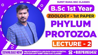 Lt01 Phylum  Protozoa Part2  BSc1st Year Zoology [upl. by Tarsus]