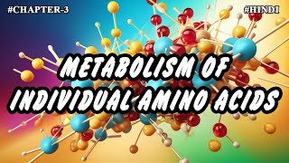 Chapter  3  Metabolism Of Individual Amino Acids Part3  Hindi [upl. by Michaeu160]