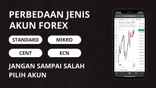 Perbedaan Jenis Akun Forex StandardMikroCent amp ECN [upl. by Nevi]