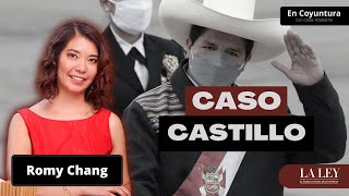 En Coyuntura  Caso Castillo [upl. by Desiree462]