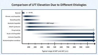 Interpretation of LFTs Liver Function Tests [upl. by Hatnamas]