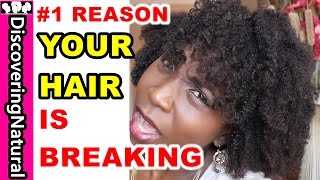 Reduce Breakage Natural Hair  PROTEIN Overload and MOISTURE Overload [upl. by Otrebla]