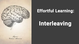 Effortful Learning  Interleaving [upl. by Ulla]