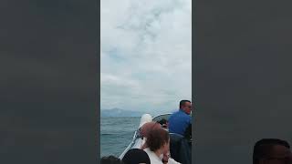 Bootsfahrt in Gardasee 1  Garda Gölünde tekne turu [upl. by Llenwad]