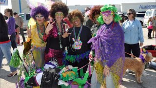 Mardi Gras celebrations underway in Galveston [upl. by Astraea643]